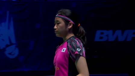 公牛还计划 公牛还计划